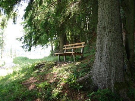 bench in Ettal,
