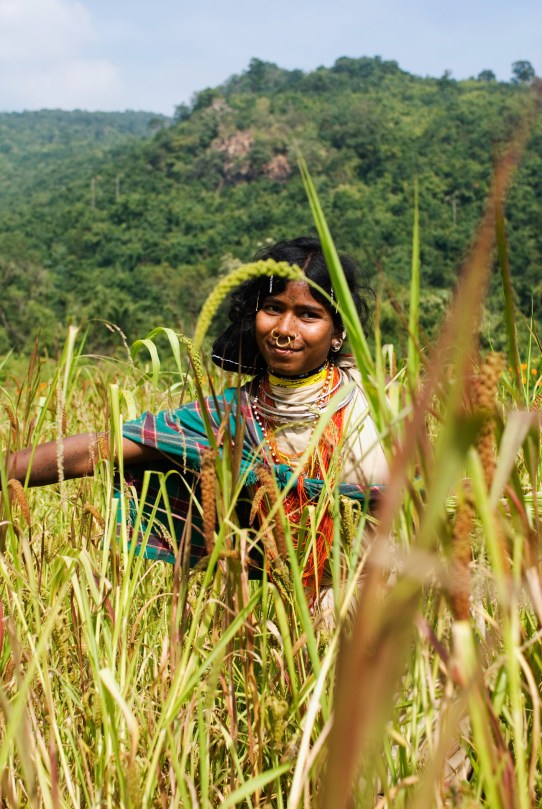 Niyamgiri Victory