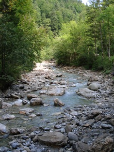 a stream of stones