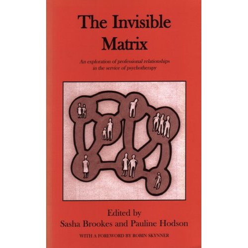 The Invisible Matrix