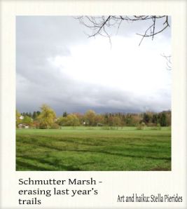 Schmutter Marsh