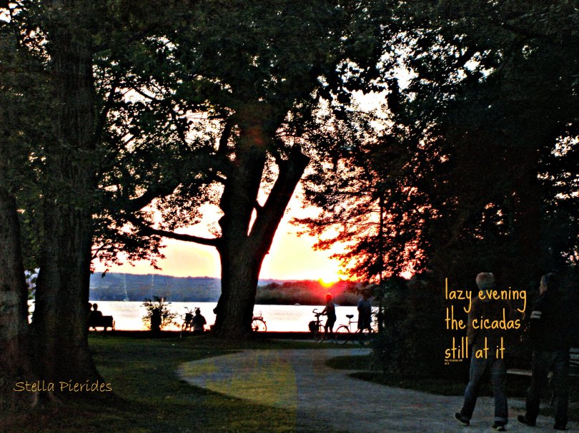 lazy evening Ammersee