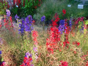 BeFunky_flower colours.jpg