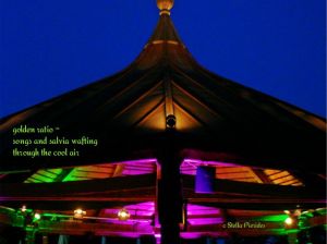 Botanic Gardens, Augsburg. International Jazz Festival 2014