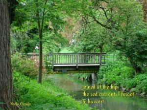 Augsburg, haiga, haiku,