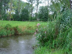 Schmutter,Neusaess,haiku,walk,