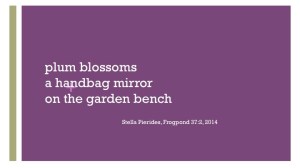 plum blossoms, mirror,haiku