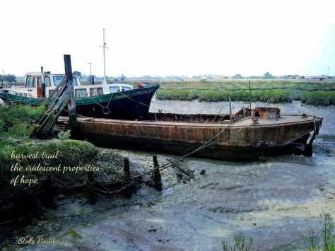 Faversham boats,haiga,poem,