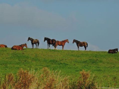 Hoernle,Bad Kohlgrub