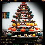 pumpkins,halloween,October,