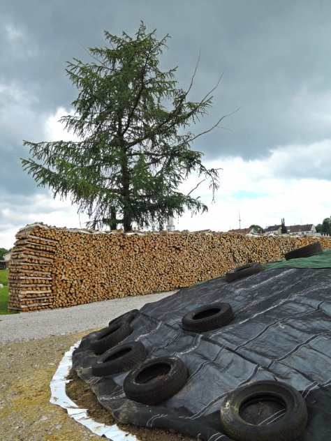 village woodpile