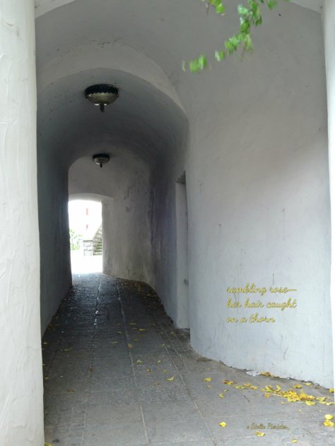 dark passage, Guenzburg,haiga,