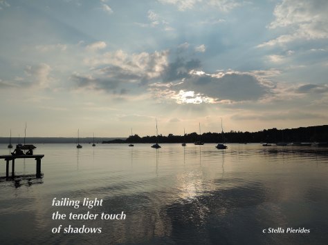 haiga,Ammersee,sunset,