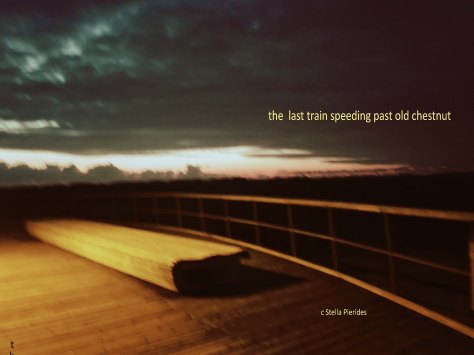 haiga,Sankt Peter-Ording