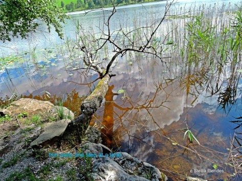 pond,lake,Bad Bayersoier See