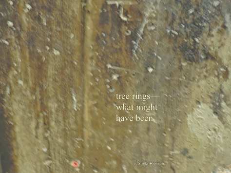 Tate Tanks,haiga,
