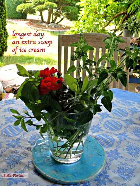 haiga,longest day,solstice,