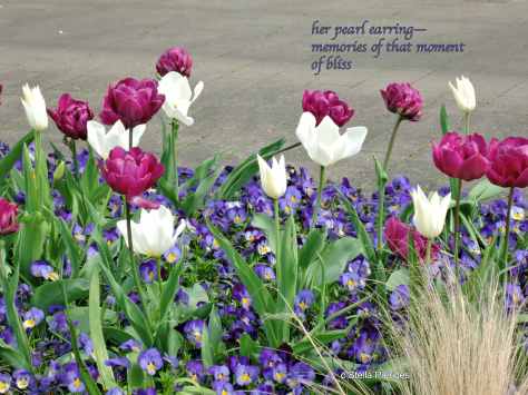 her pearl earring,ekphrastic haiku,haiga,