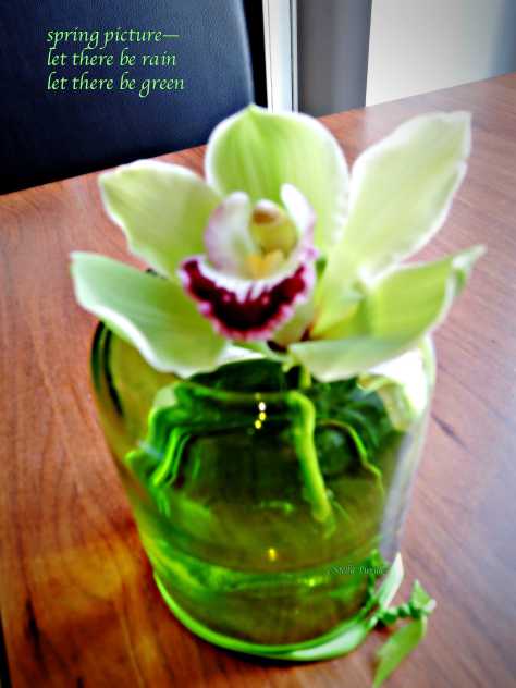 flower,spring,haiga,