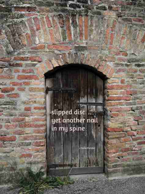 door,haiga,