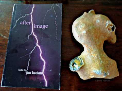 after image,book cover,haiku,