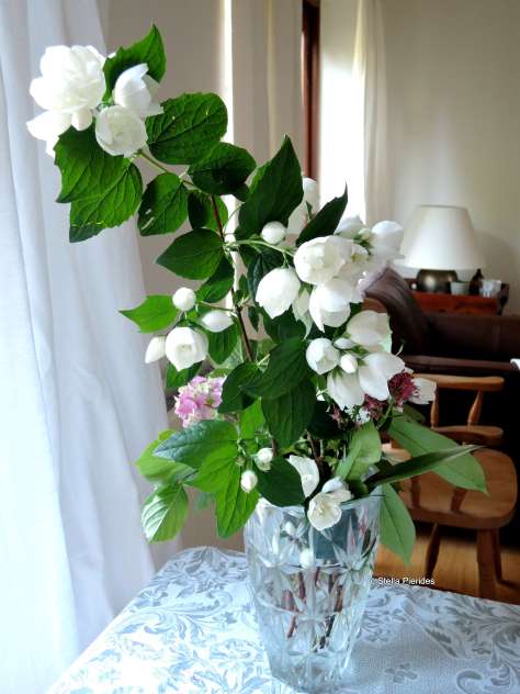 vase,flowers,white,