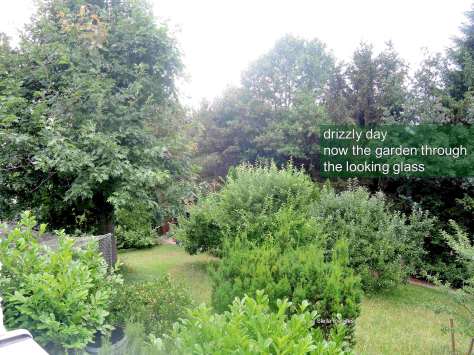 garden,haiga,