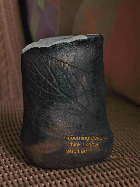 raku,haiga,