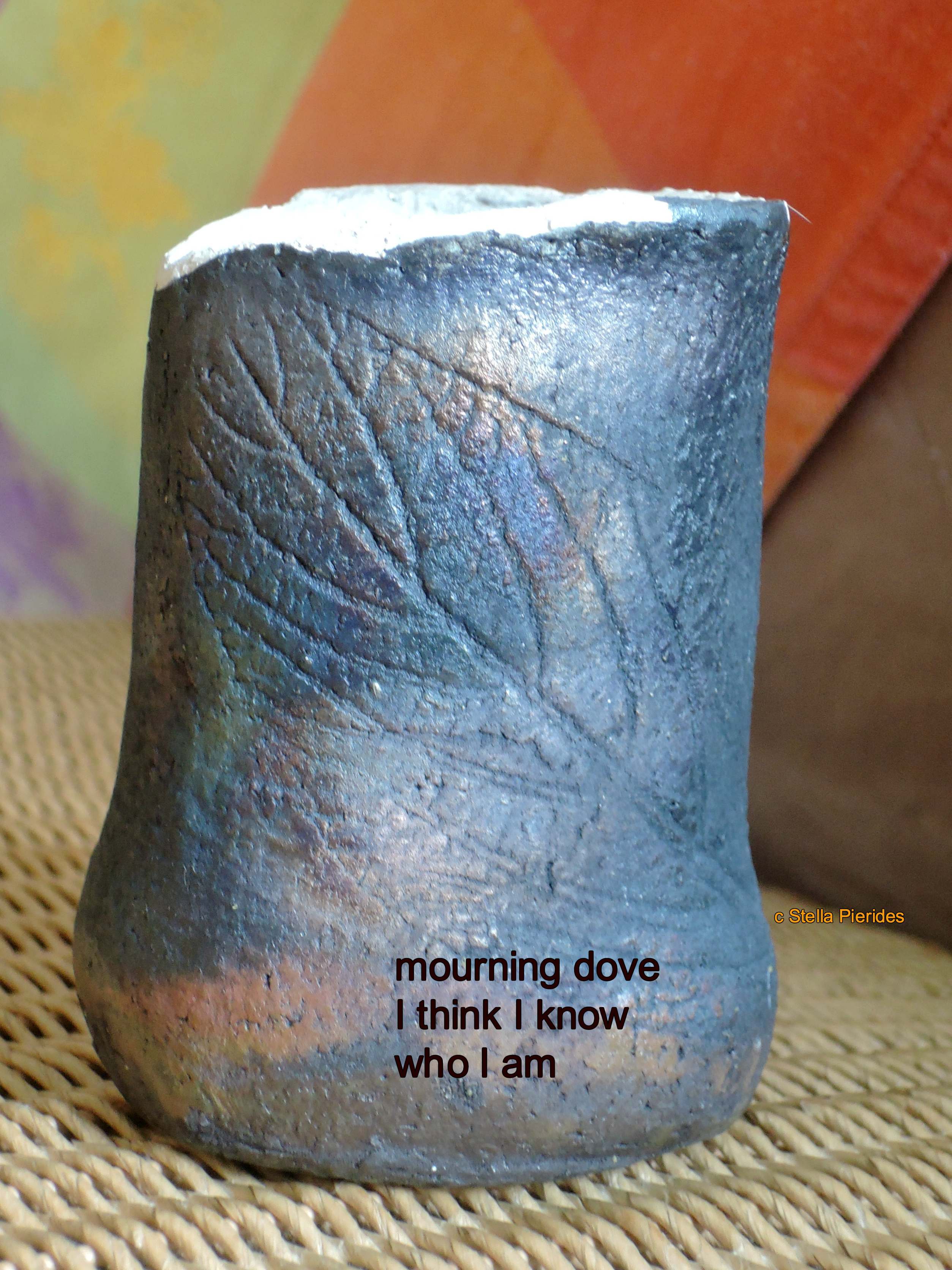 raku,haiga,