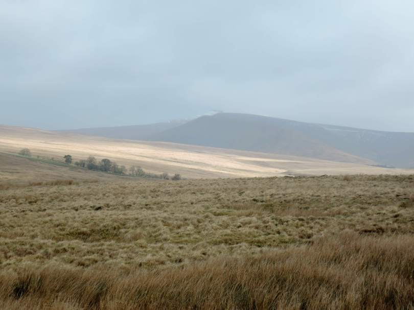 mountain, Brecon Beacons,