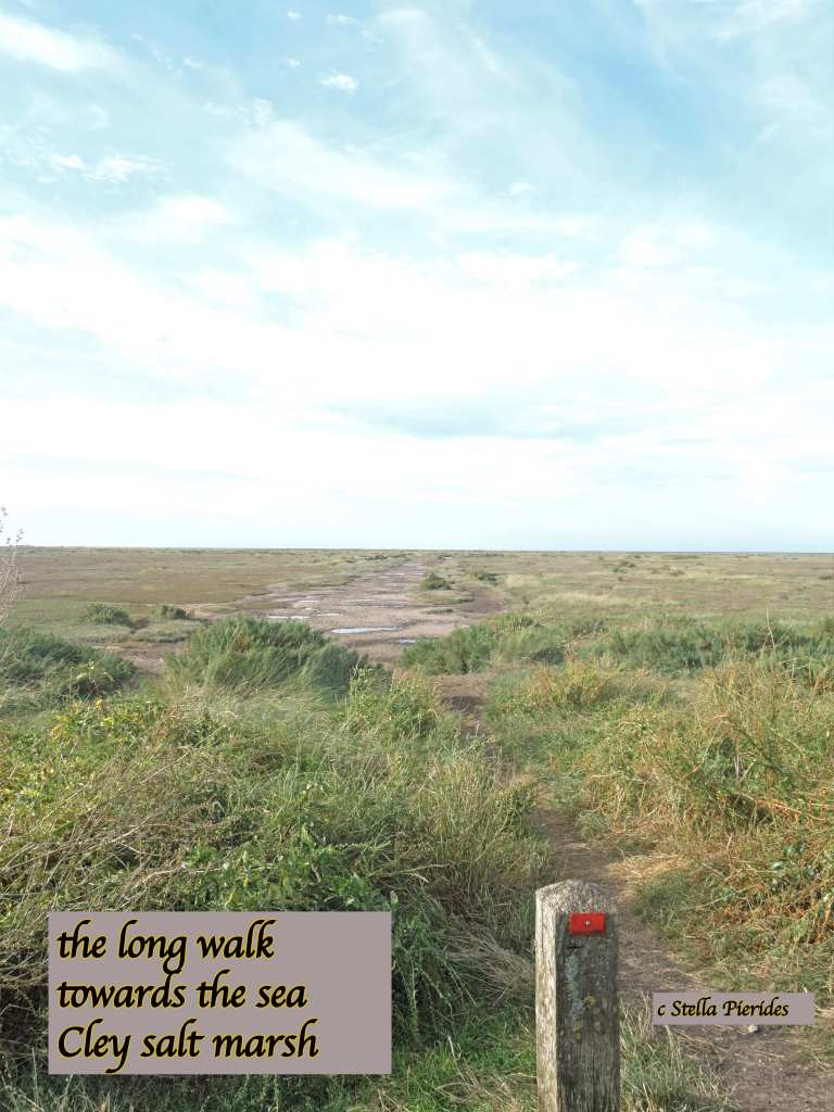 Cley salt marsh,