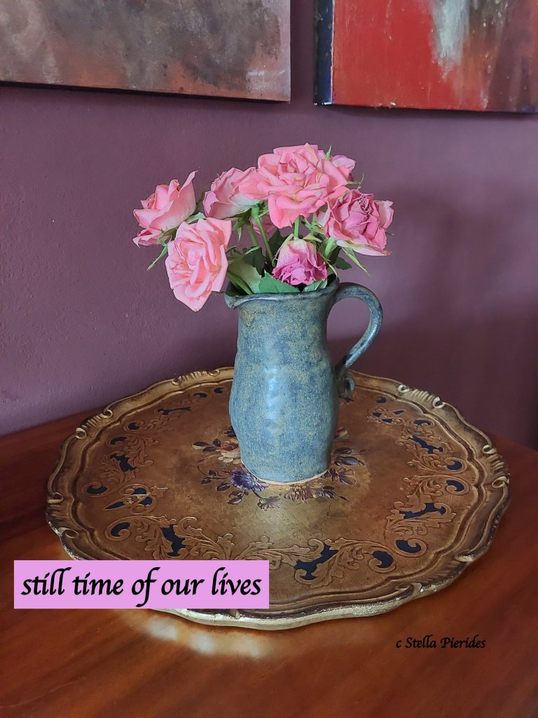 still time, ParkinsonsAwarenessMonth, Parkinson's,haiga,monoku,