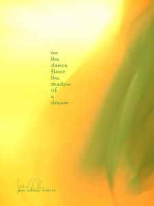haiga