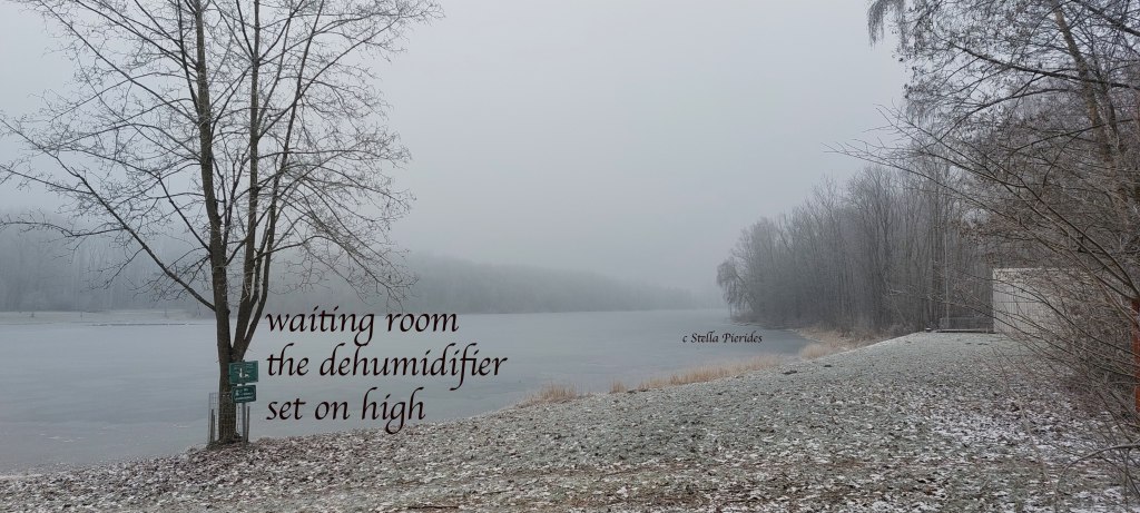 Parkinson's sweating